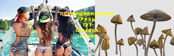 марки lsd Армянск
